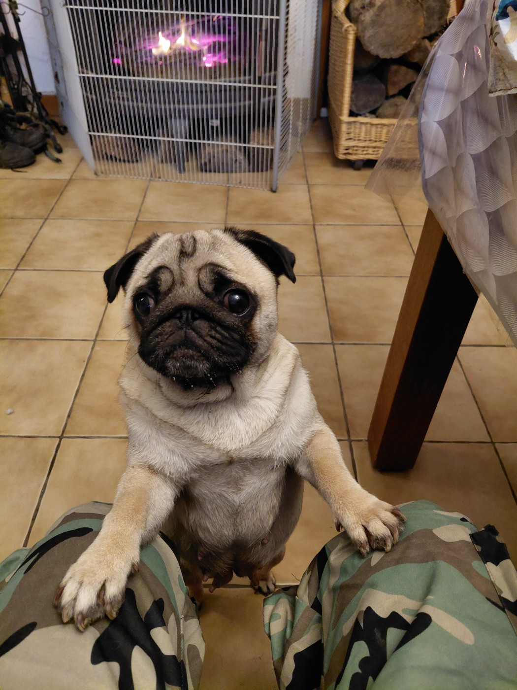 Virgule des joyeux cotillons